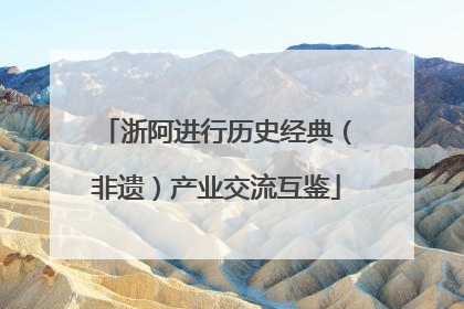 浙阿进行历史经典（非遗）产业交流互鉴